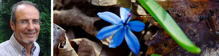 blue-flower copy1